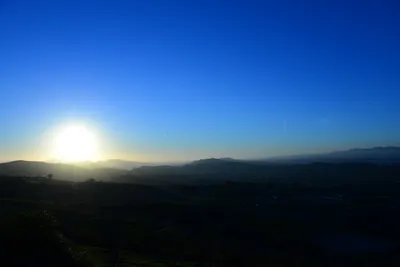 DSC_1154 (Large).JPG